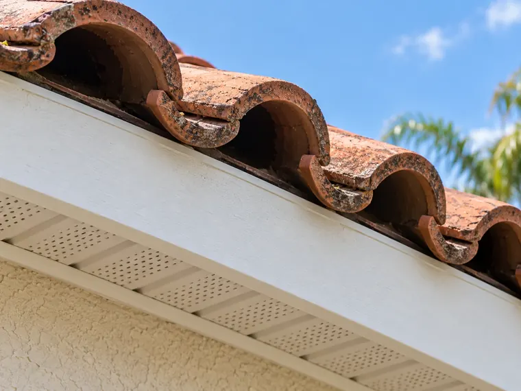 Eave of a terracotta barrel-tile roof showing the open rounded tile ends above the fascia