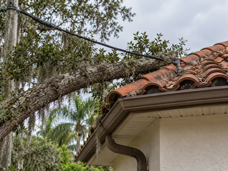 Moss-draped oak limb resting on the edge of a barrel-tile roof with a utility cable running to the same roofline