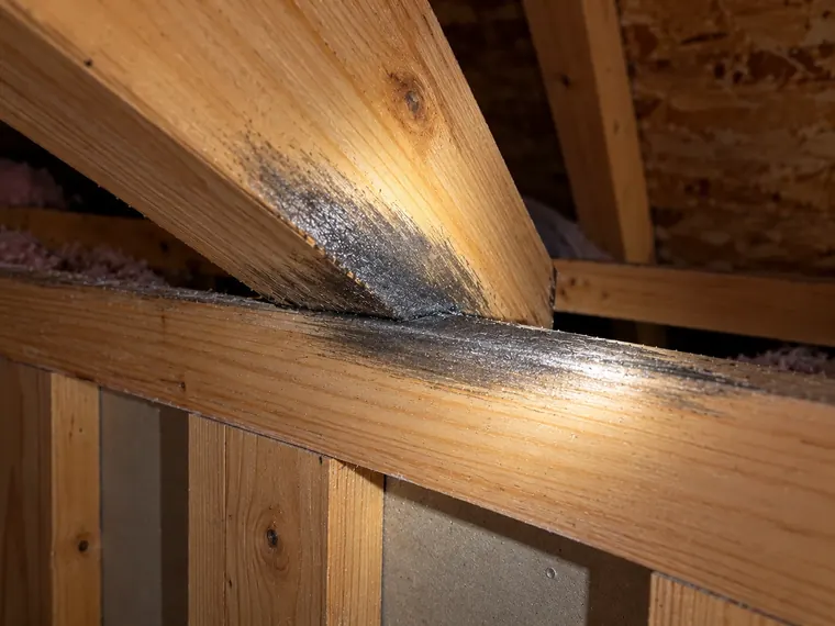 Dark, glossy rub mark along the edges of attic beams where they meet, lit by a flashlight